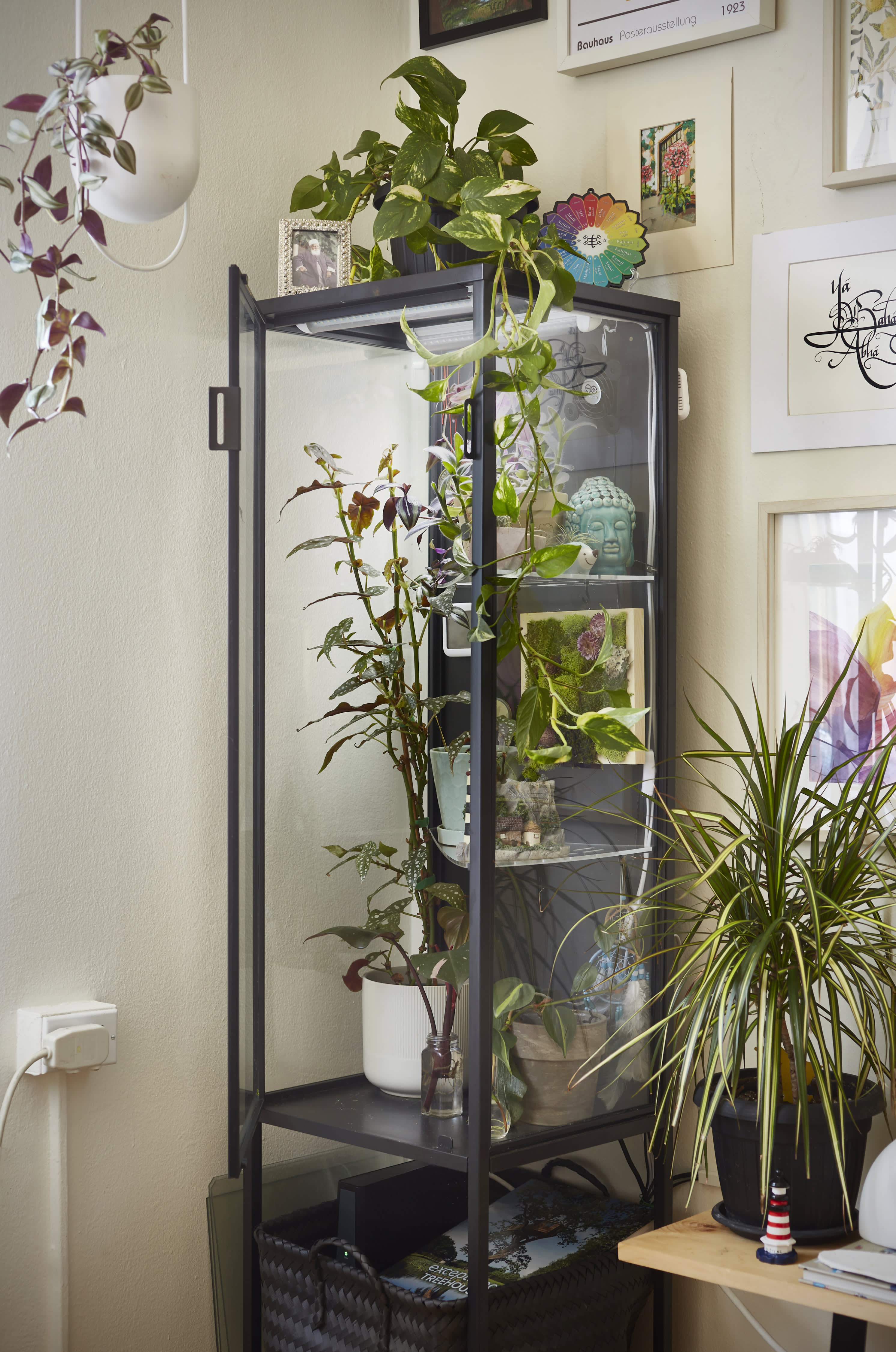 Ikea glass on sale greenhouse cabinet